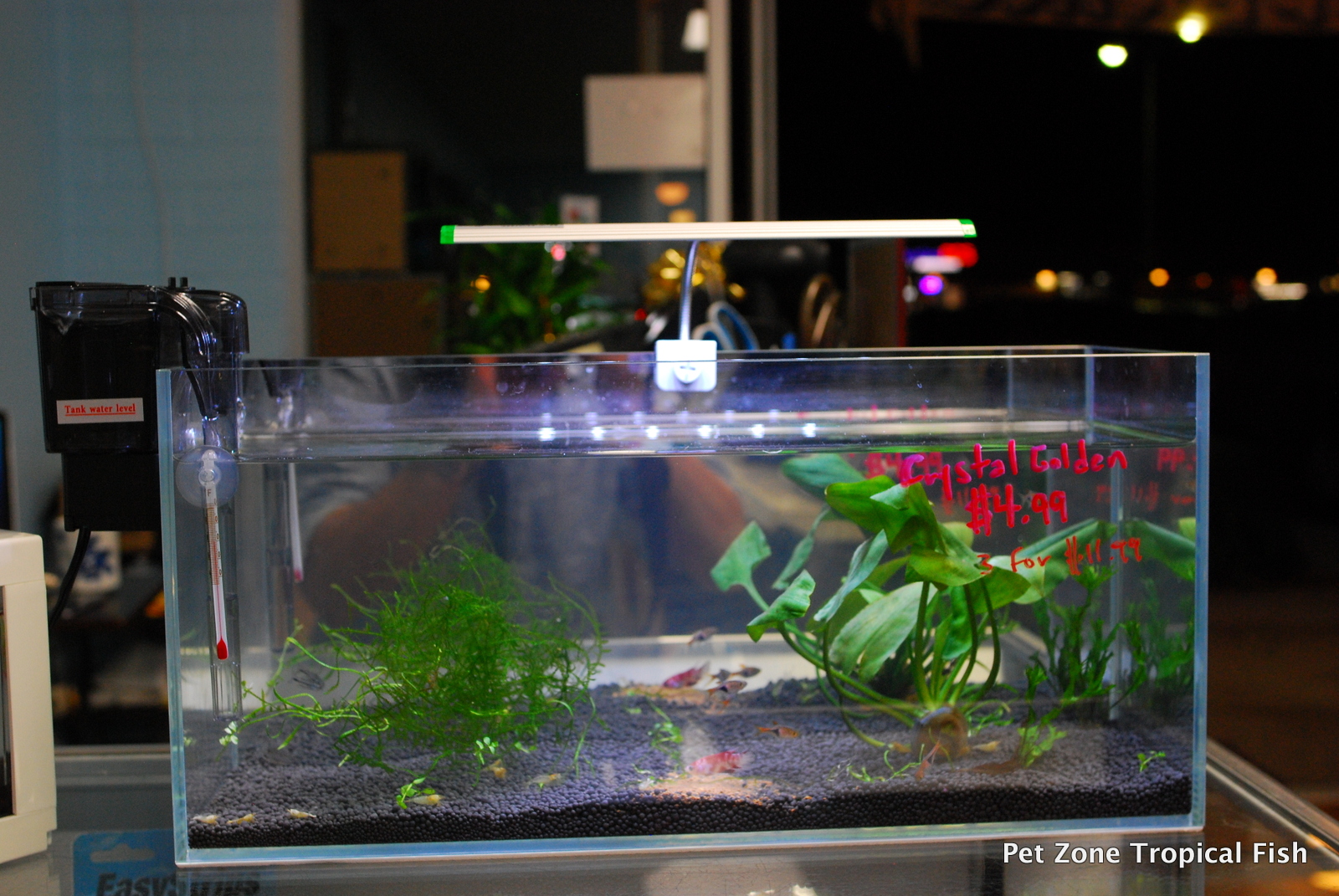 Iconic Mirror Nano Tank