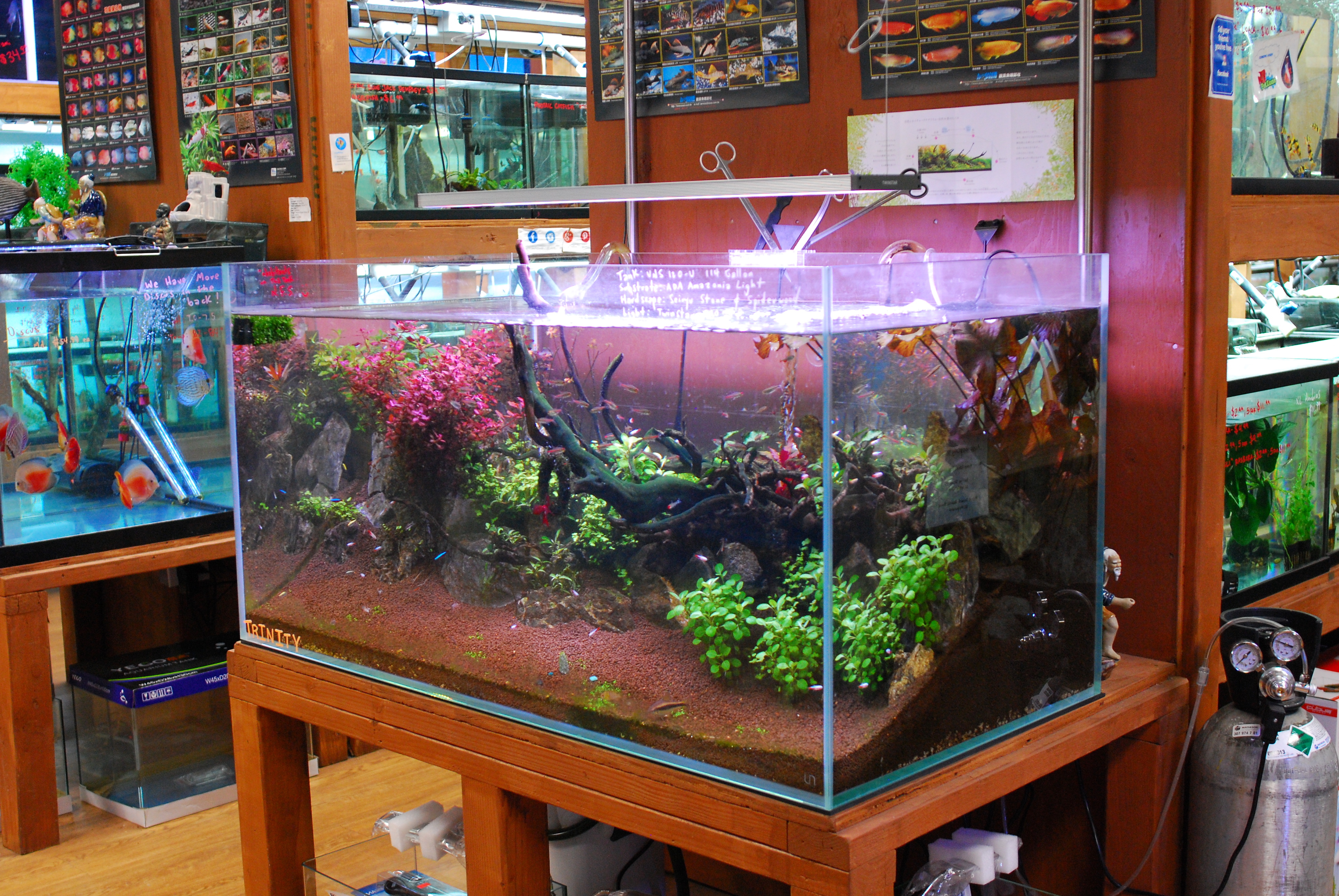 Ultum Nature Systems 120U Rimless Planted Tank